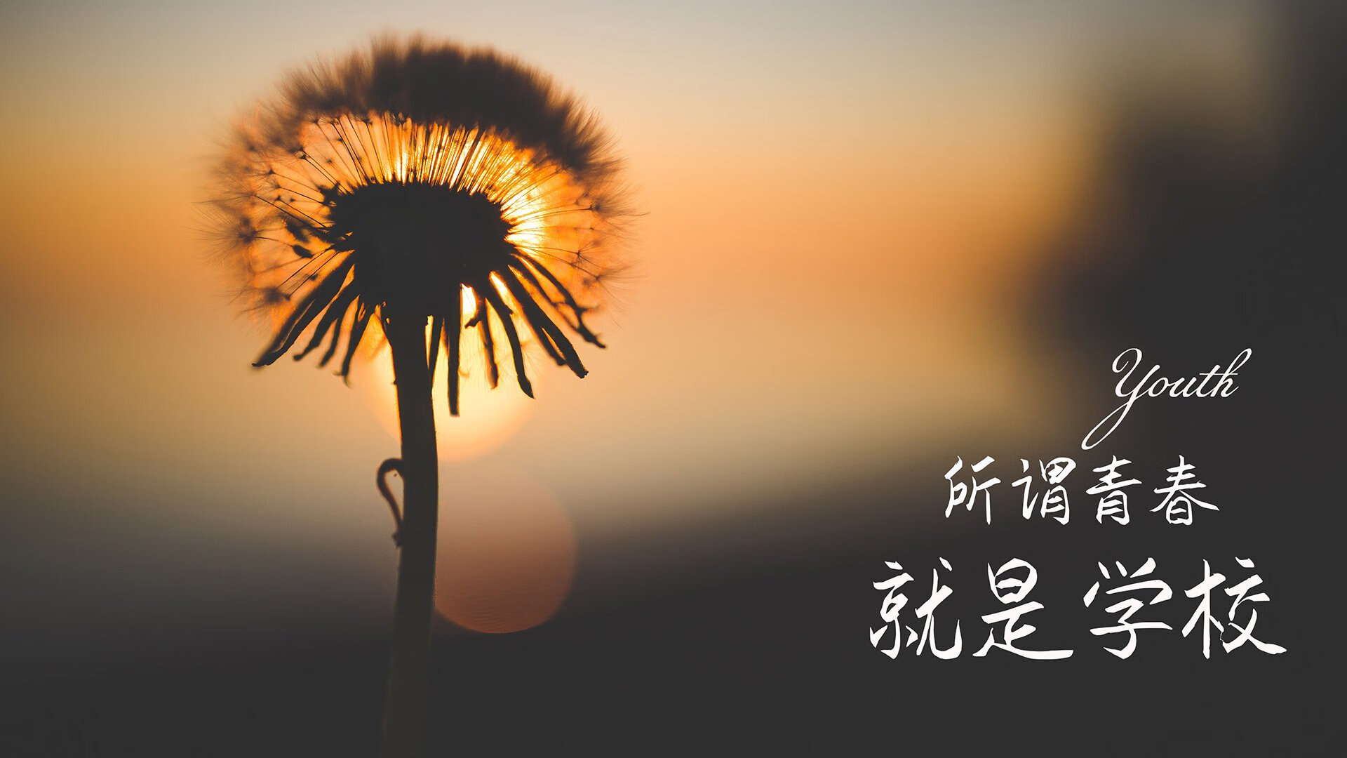 赛场公益：捐赠与慈善活动一览，捐款比赛