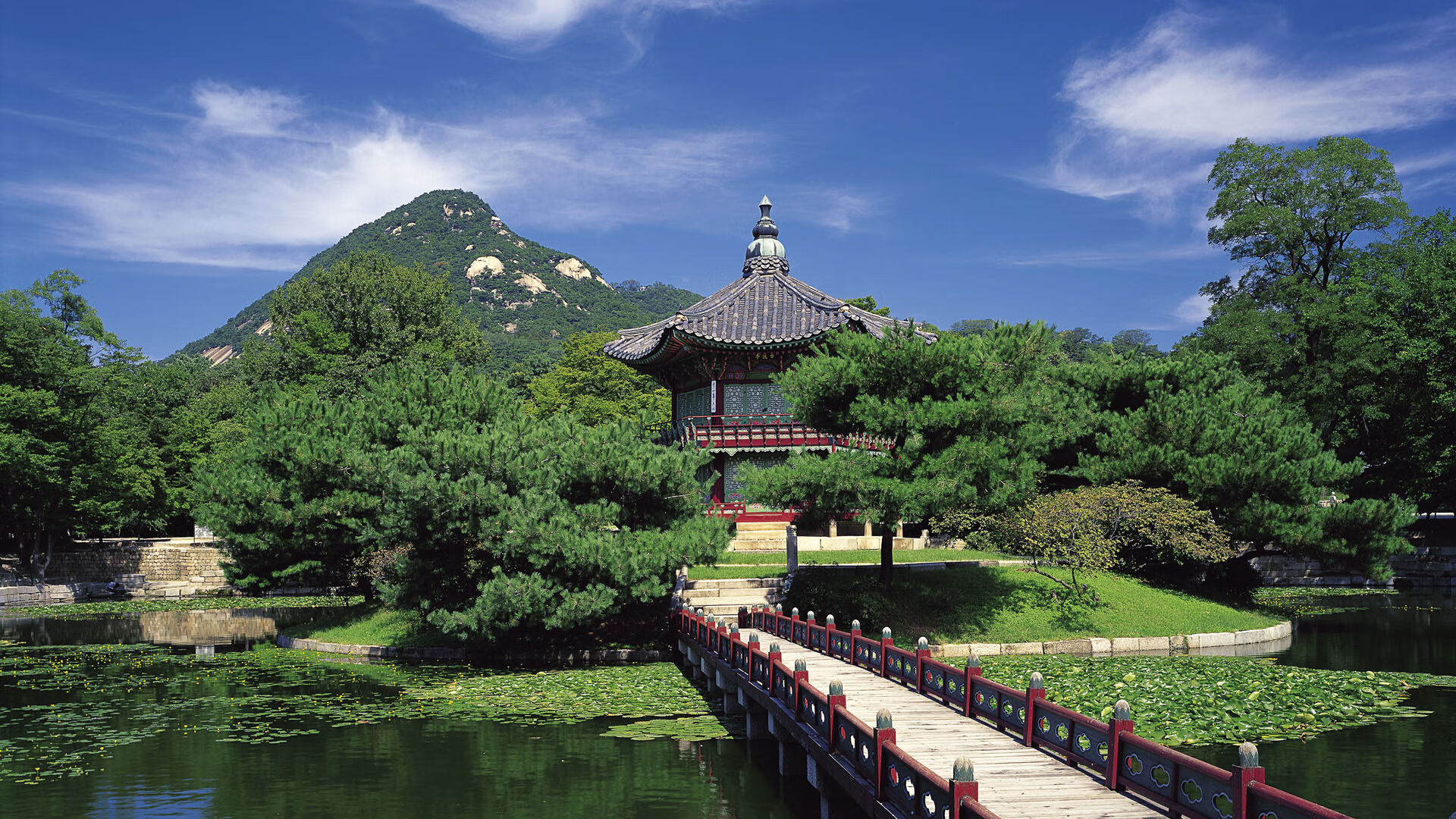 曼联队员精彩表现，帮助球队击败对手，曼联队友