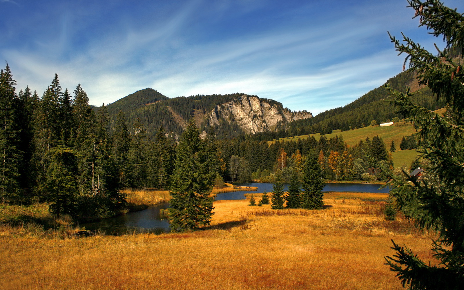 全国青少年趣味运动会欢乐无限,充满活力,青少年趣味运动会新闻稿