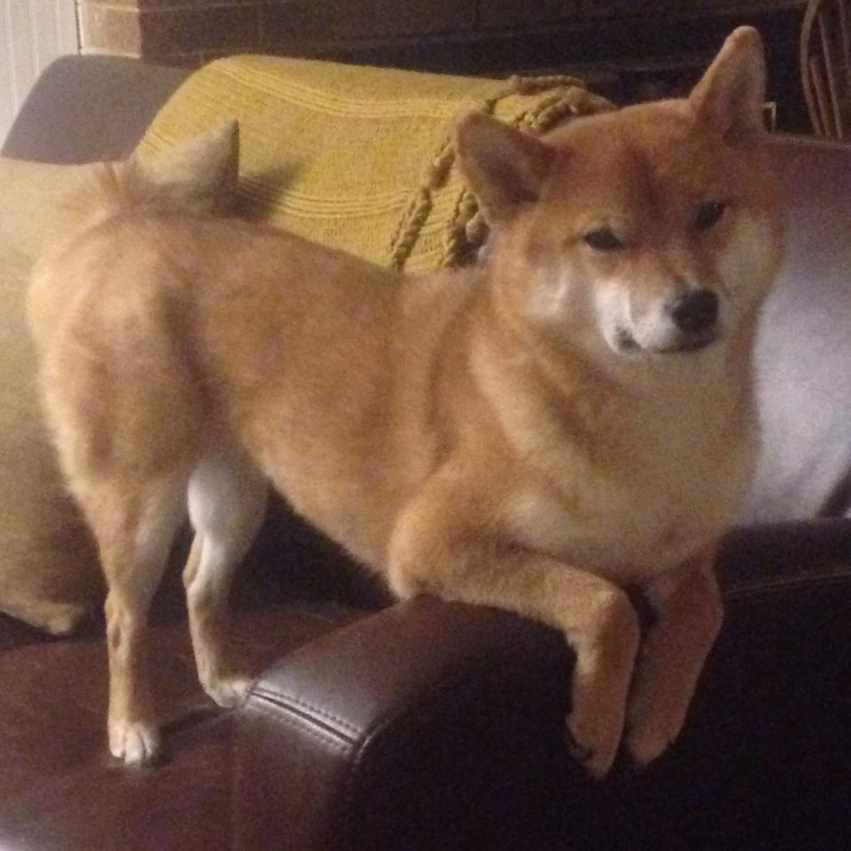 全国青少年棒球锦标赛江北赛区激烈角逐,全国青少年棒球锦标赛江北赛区激烈角逐比赛