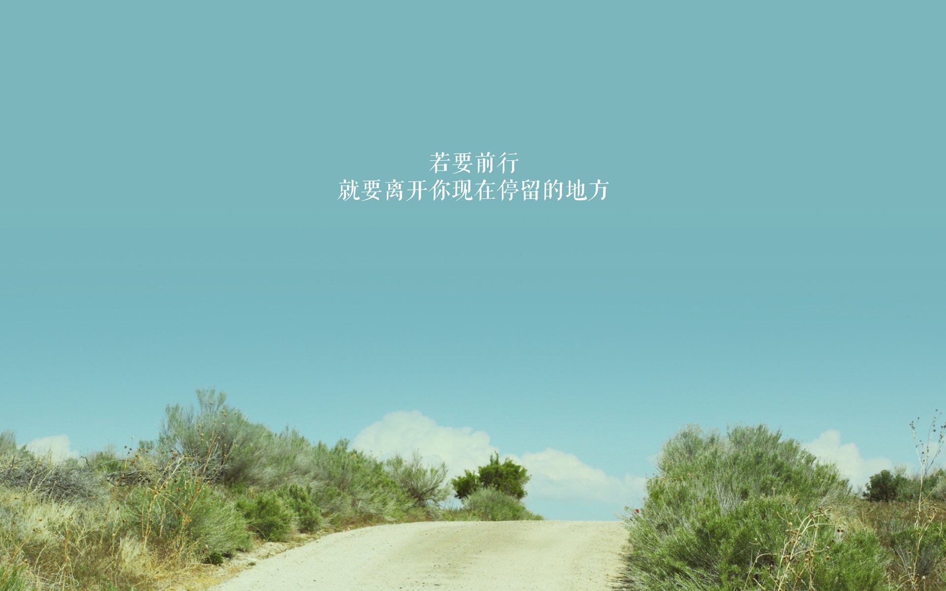 国际体操挑战赛中国小花获平衡木金牌,中国体操平衡木奥运冠军