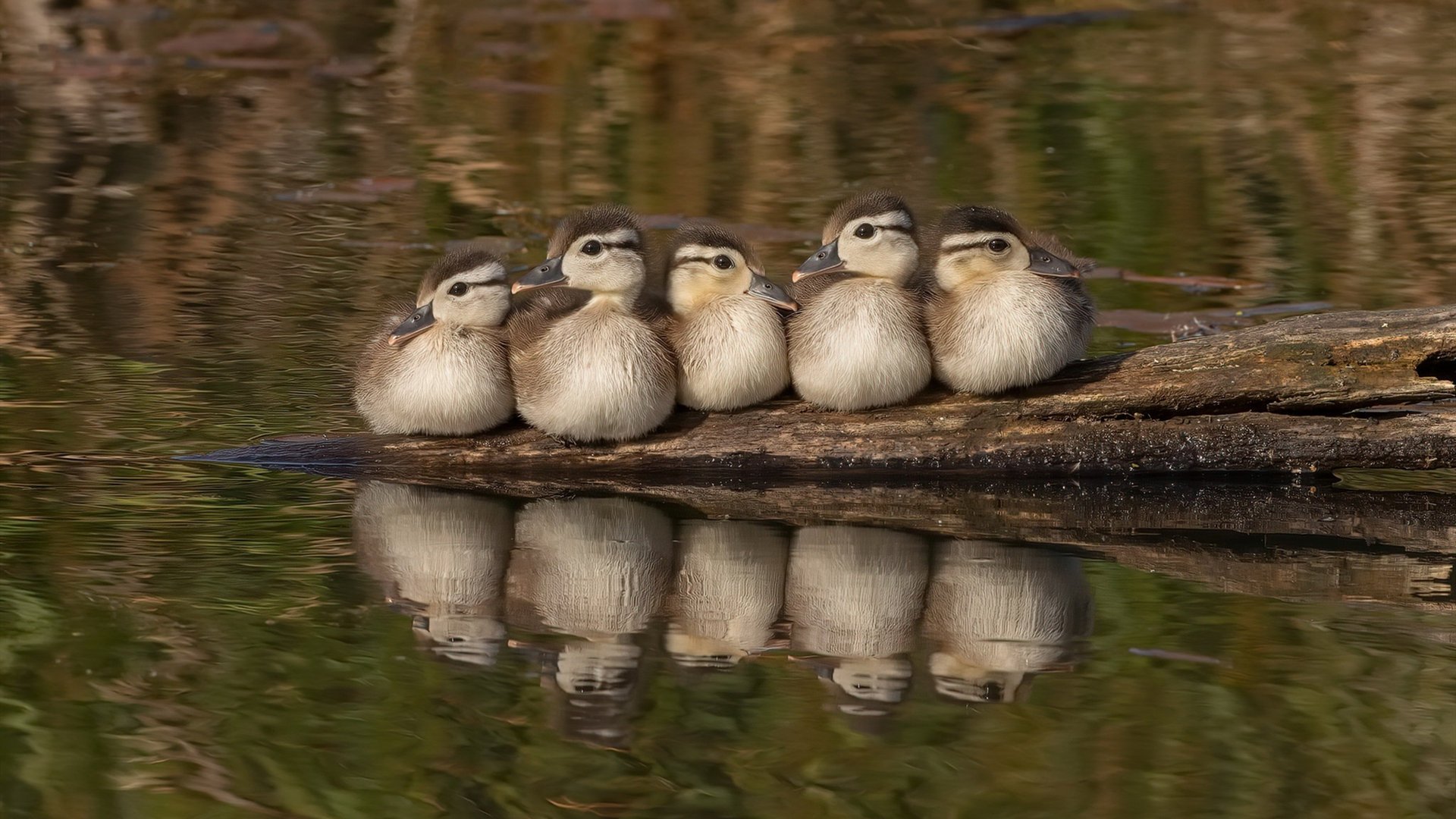 联赛激战总结:本周最精彩的比赛盘点