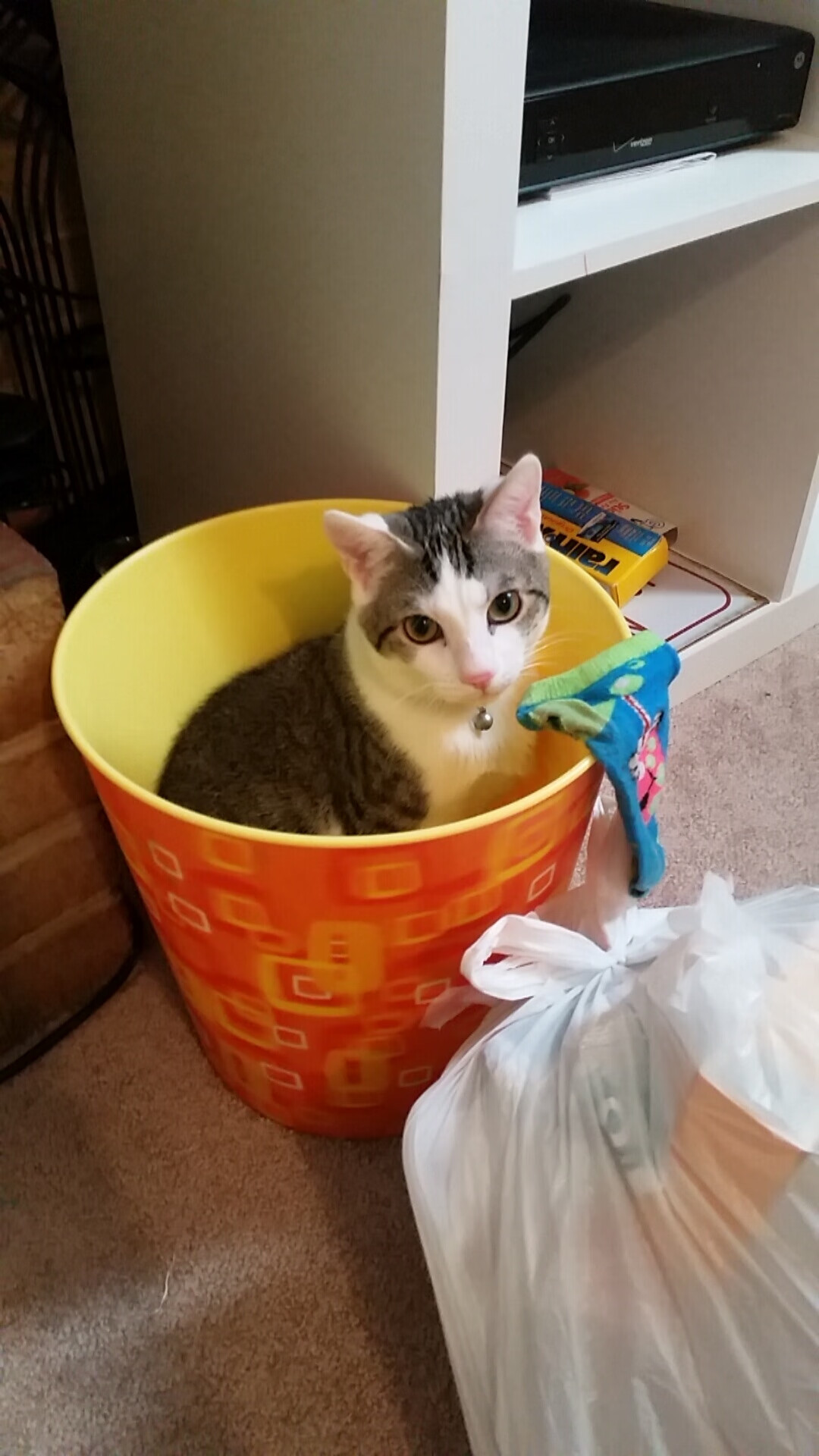 高校运动训练负荷监控技术研究,运动负荷监控方案