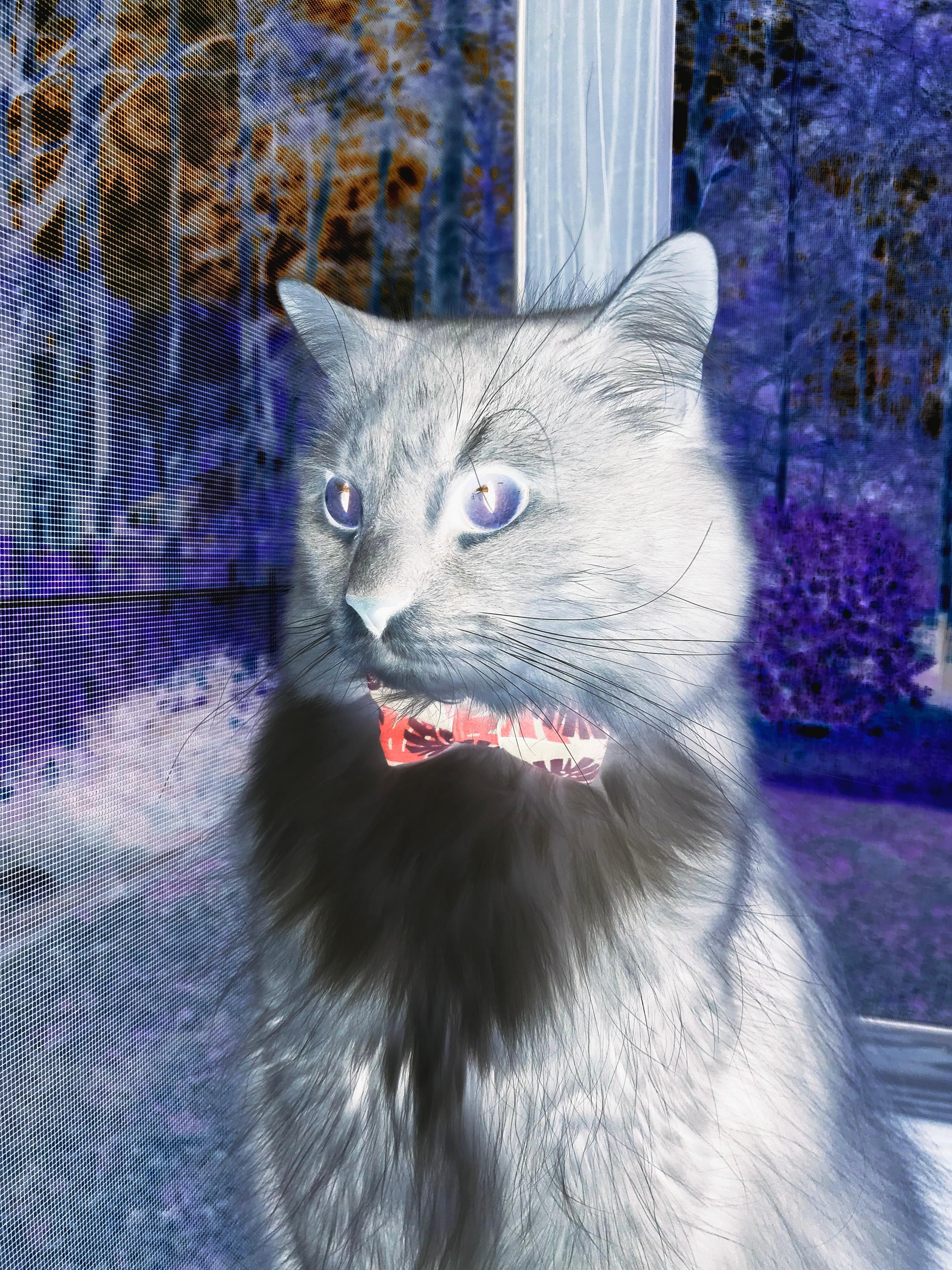 “简阳文体中心:羽毛球赛场成全球高手竞技之地”