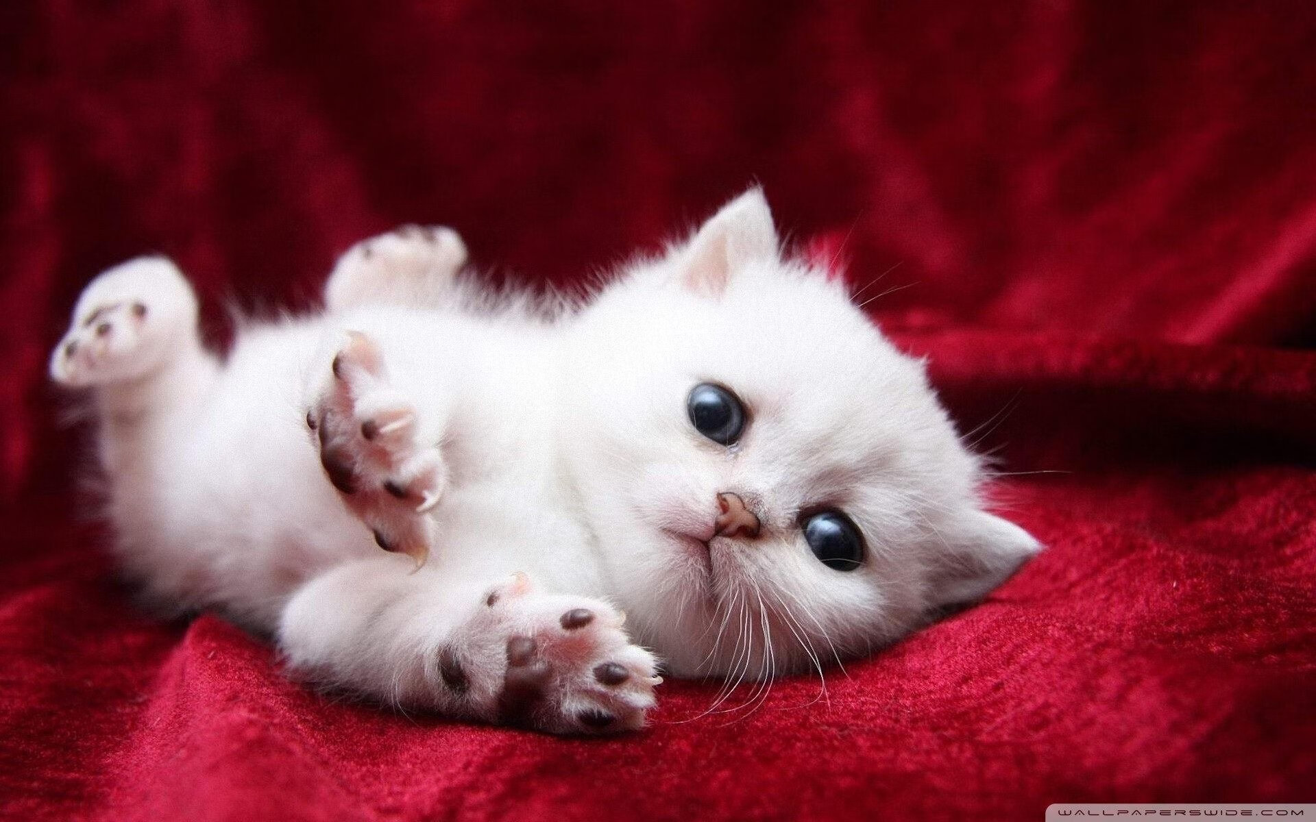 爱游戏中国-世界杯预选赛中国青年队逆袭 球员拼劲十足，世界杯预选赛 中国队出线分析