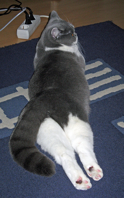 中国足球名宿开办青训学院,全国足球青训机构排名