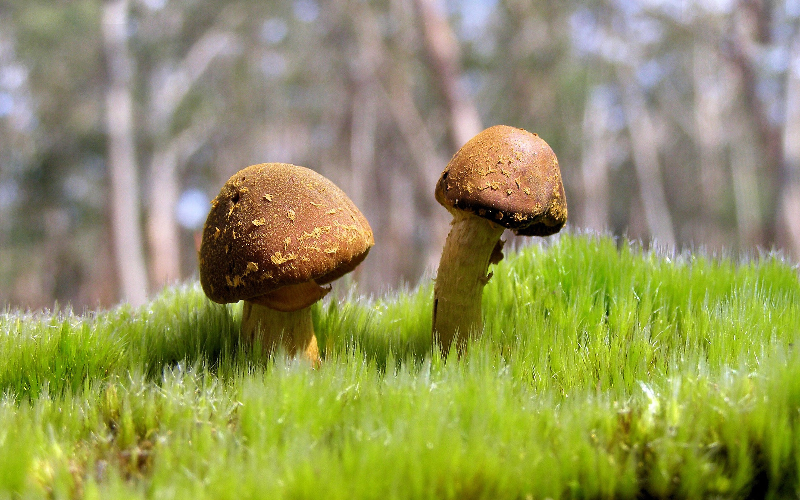 国家攀岩队训练注重动作连贯与节奏掌控,攀岩专项训练