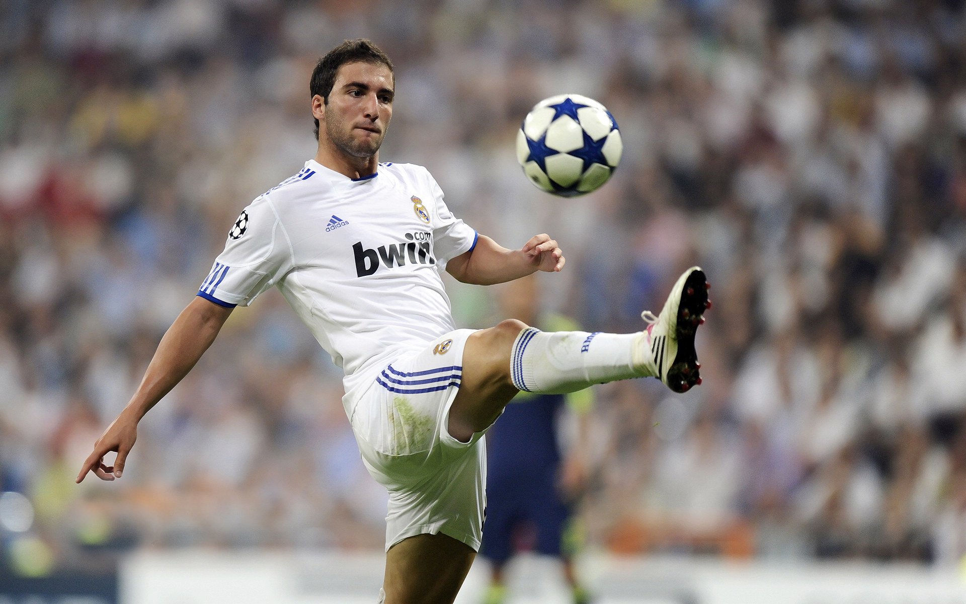 你觉得最有潜力的新人车手是谁?,最具潜力新人奖